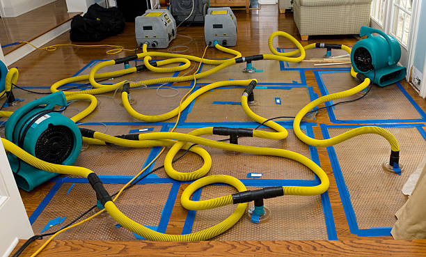 Professional Crawl Space Water Removal technician working in Union City, GA